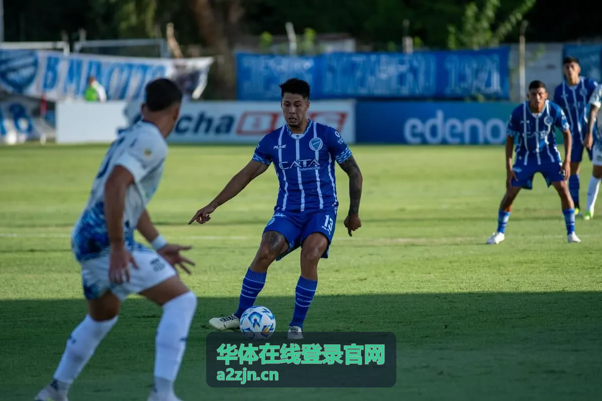 华体在线登录官网审核进度查询界面