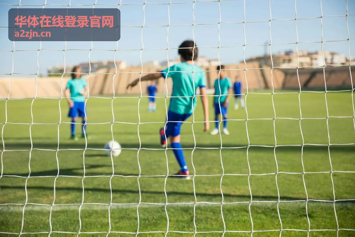 华体在线登录官网电子凭证下载页面