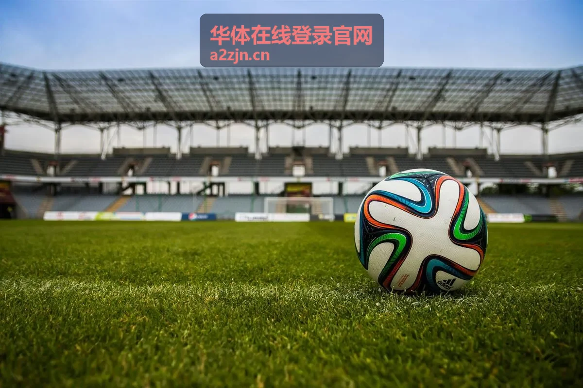 华体在线登录官网团体名单导入功能