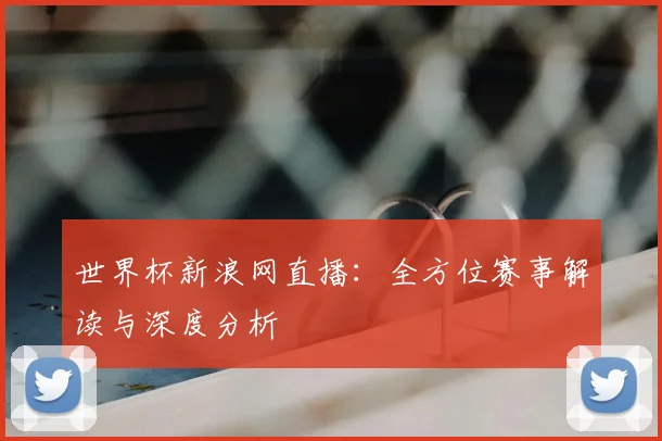 世界杯新浪网直播：全方位赛事解读与深度分析