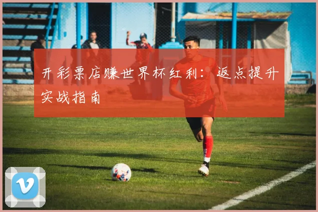 开彩票店赚世界杯红利：返点提升实战指南