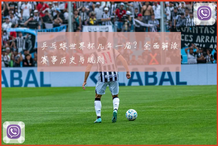 乒乓球世界杯几年一届?全面解读赛事历史与规则