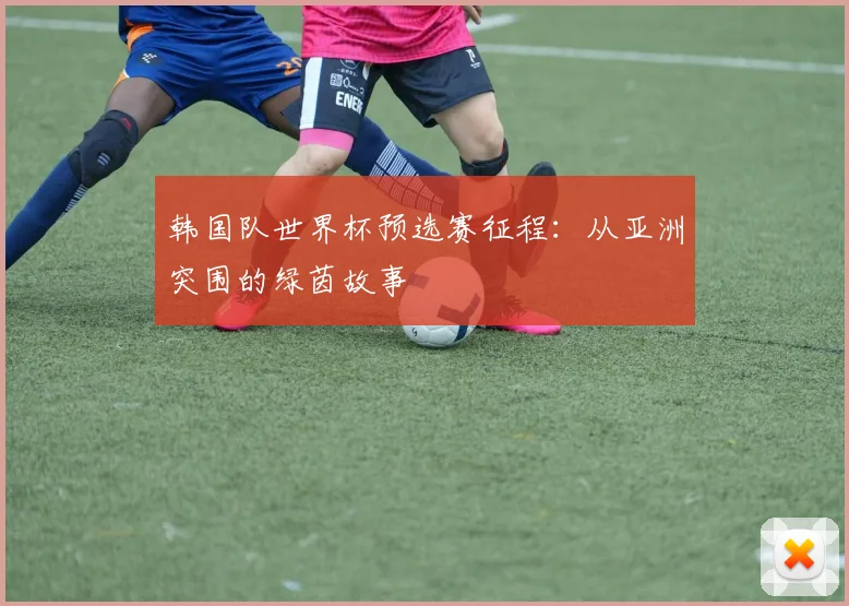 韩国队世界杯预选赛征程：从亚洲突围的绿茵故事
